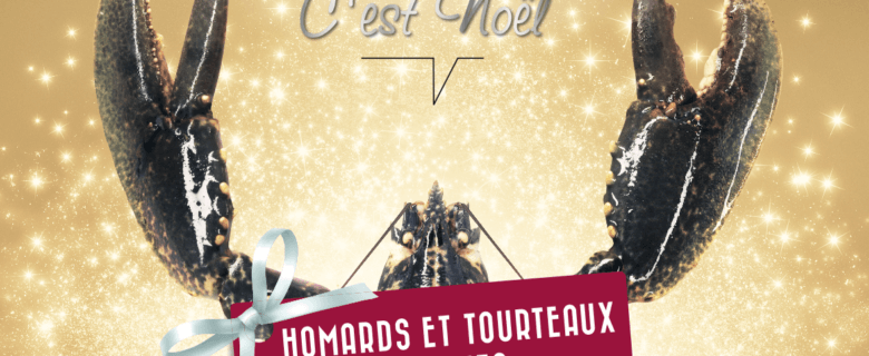 Houra, c’est Nöel !